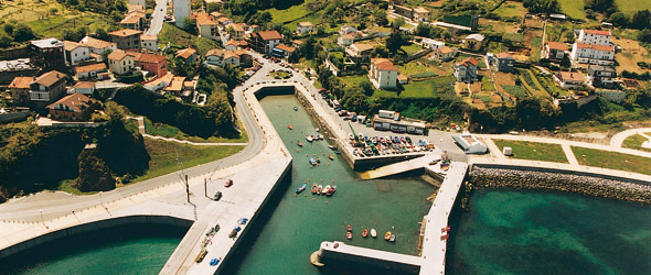 Sedigas Informe Anual 2010