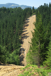 CadizKnutsen-UNION FENOSA GAS