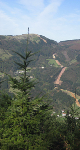 C. Ciclo Combinado_Escombreras1 - IBERDROLA